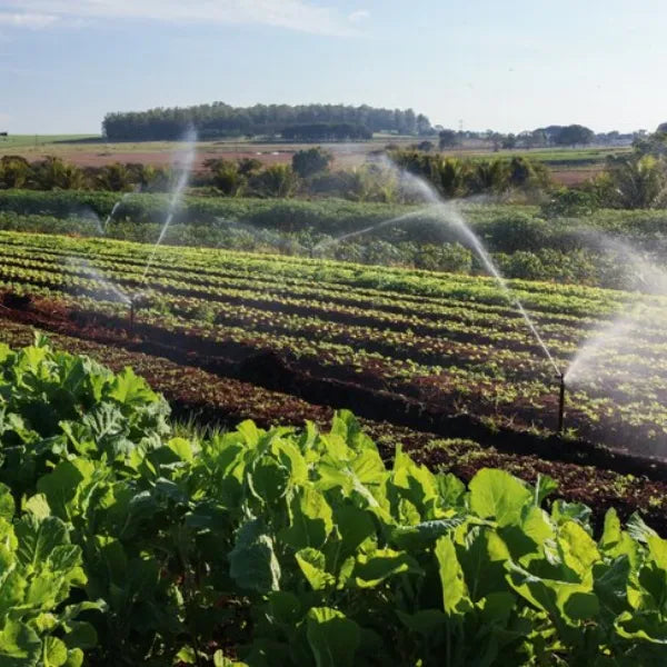 Agricultural and irrigation projects