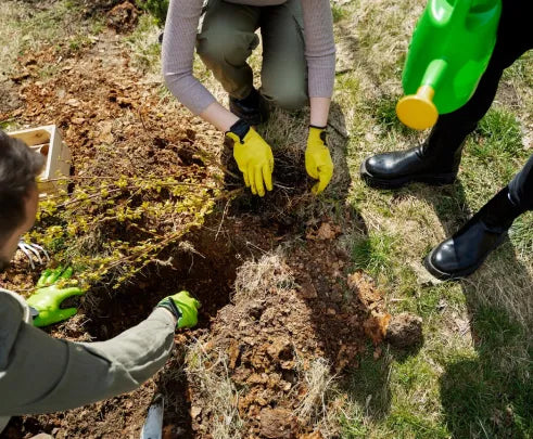 Need Help Assessing an Environmental Concern?